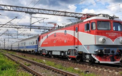 Circulația feroviară este blocată între Brașov și Sighișoara din cauza unui copac căzut