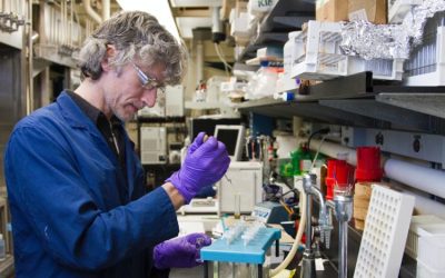 BofA taie ținta PFE la 26 dolari: Ce se întâmplă cu ACȚIUNILE Pfizer?