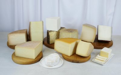 România, pas uriaș: Lansează selecție de brânzeturi maturate, de lux