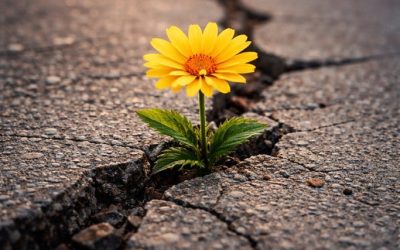 Bunătatea, o armă secretă: Cum rezistăm prin gesturi mărețe în vremuri grele