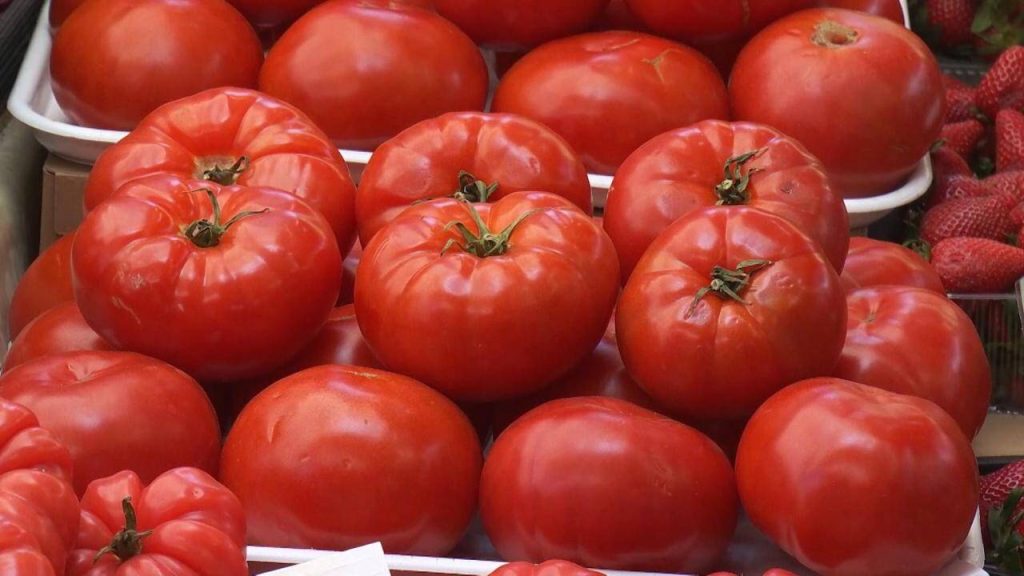 Roșiile românești au ajuns la prețuri prohibitive pentru mulți cumpărători, primii producători anunțând vânzarea roșiilor la 50 de lei kilogramul