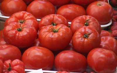 Roșiile românești au ajuns la prețuri prohibitive pentru mulți cumpărători, primii producători anunțând vânzarea roșiilor la 50 de lei kilogramul