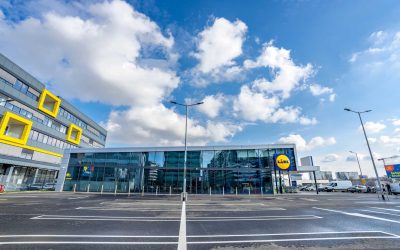 Lidl România, record de export: 78 milioane EURO și creștere de 24% pentru furnizori