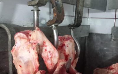 ANPC: Peste 1.000 de controale în aprilie. Amenzi usturătoare pentru afaceri