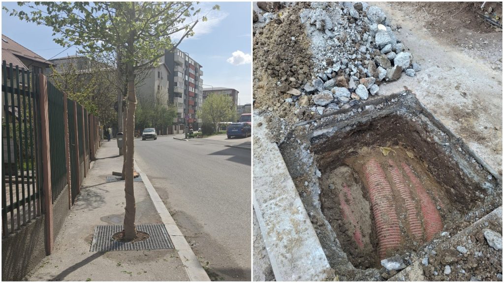 Arbori pe trotuare înguste în Sectorul 4: Scandal după ce s-au cheltuit 1,6 milioane de euro
