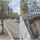 Arbori pe trotuare înguste în Sectorul 4: Scandal după ce s-au cheltuit 1,6 milioane de euro