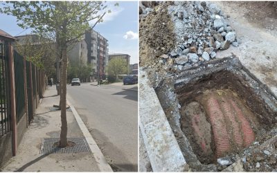 Arbori pe trotuare înguste în Sectorul 4: Scandal după ce s-au cheltuit 1,6 milioane de euro