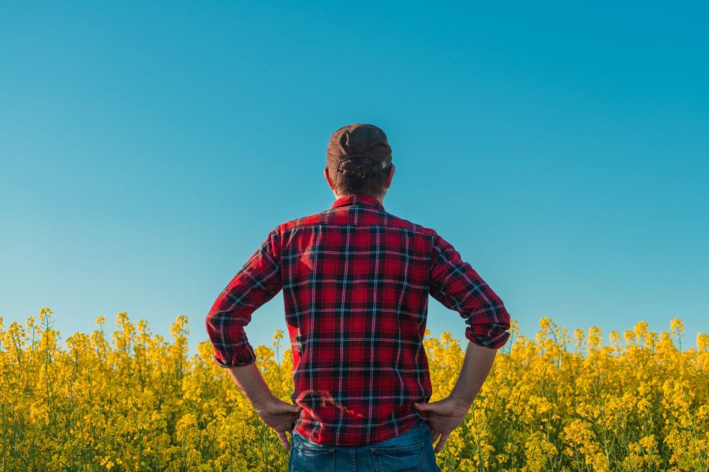 Mafioții „Manosphere” în vizorul politicienilor britanici: Ce este fenomenul