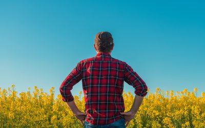 Mafioții „Manosphere” în vizorul politicienilor britanici: Ce este fenomenul