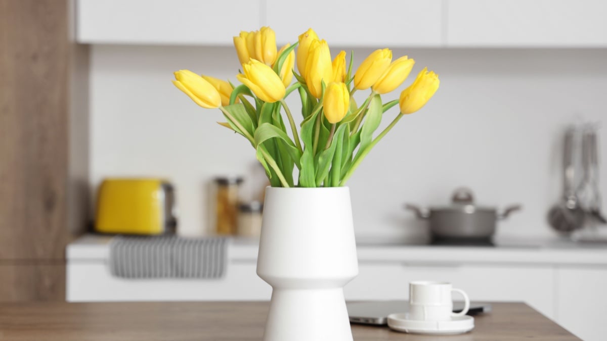 Diferența majoră se va vedea: Verdictul vine în doar câteva săptămâni