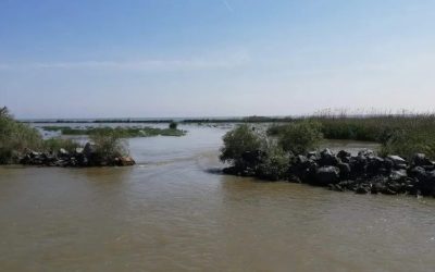Administrația Rezervației Biosferei Delta Dunării a anunțat instituirea prohibiției pentru pescuit începând cu data de 9 aprilie 2026, în habitatele acvatice naturale