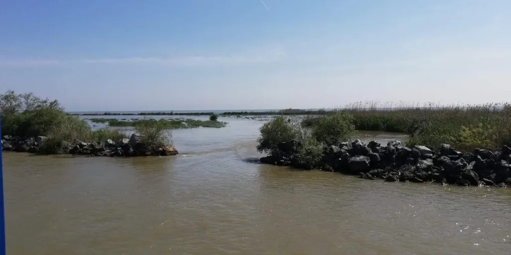 Administrația Rezervației Biosferei Delta Dunării a anunțat instituirea prohibiției pentru pescuit începând cu data de 9 aprilie 2026, în habitatele acvatice naturale