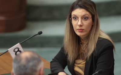 Arborii din curte, infracțiune: Distrugerea spațiilor verzi, pedepsită drastic