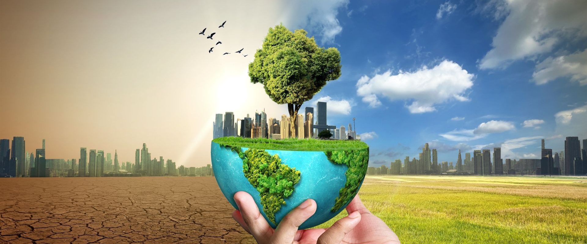 Consecințele schimbărilor climatice: Impact pe termen lung, inclusiv la stră-strănepoți