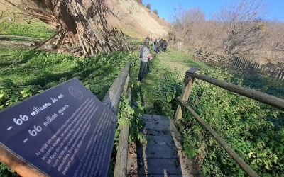 Ministerul Mediului, undă verde pentru noi Geoparcuri UNESCO în România