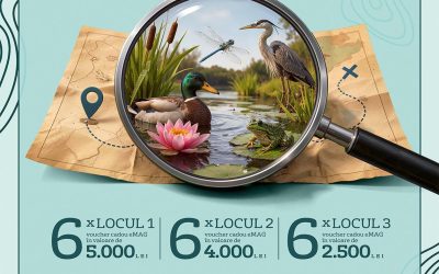 Veolia România continuă „natura dintre ape”: Olimpiada de biodiversitate, la nivel național