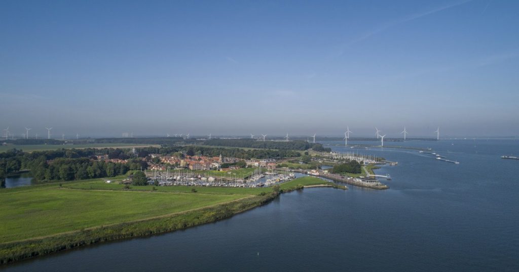 Olanda, localitate condamnată: „Suntem duși la abator”! Motivul șocant