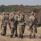 Halele Armatei, un dezastru: „Plouă și cresc copaci”, spune Ministrul Apărării