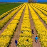 Tensiuni SUA-Iran: Piețe agricole sub presiune. Expertul Cezar Gheorghe: România, ferită de penurie