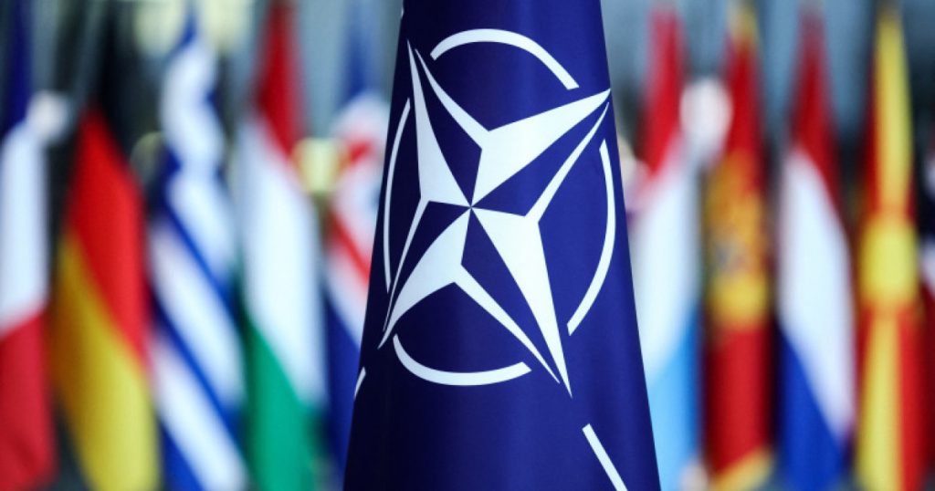 Industria românească, la NATO: Afaceri pentru companiile din România