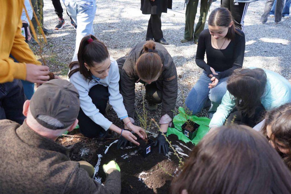 Luna Pădurii 2026: Miile de copii au plantat mii de puieți în România