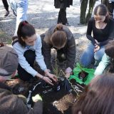 Luna Pădurii 2026: Miile de copii au plantat mii de puieți în România