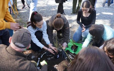 Luna Pădurii 2026: Miile de copii au plantat mii de puieți în România