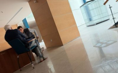 Simion, după întâlnirea cu Georgescu: „O să vedeți!” Ce pregătește Opoziția?