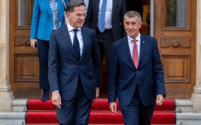 Babis pune Ce-a în NATO, dar taie fondurile Apărării