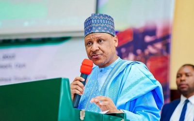 Nigeria rezistă: Progrese vizibile, anunță guvernul