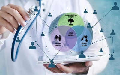 CieH și Ziarul Lumina, parteneriat pentru educație medicală