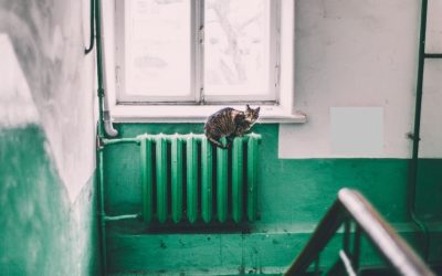 Oradea, gata de reluarea căldurii: Temperaturi sub 2 grade!