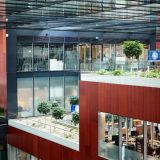 Philip Morris: „Schimbarea în mișcare” pentru 2025, anunțată de gigantul internațional