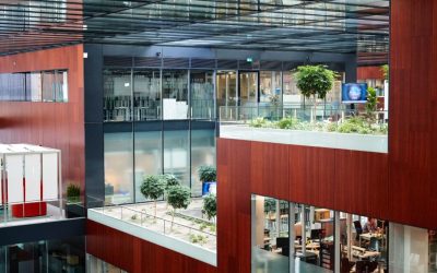 Philip Morris: „Schimbarea în mișcare” pentru 2025, anunțată de gigantul internațional