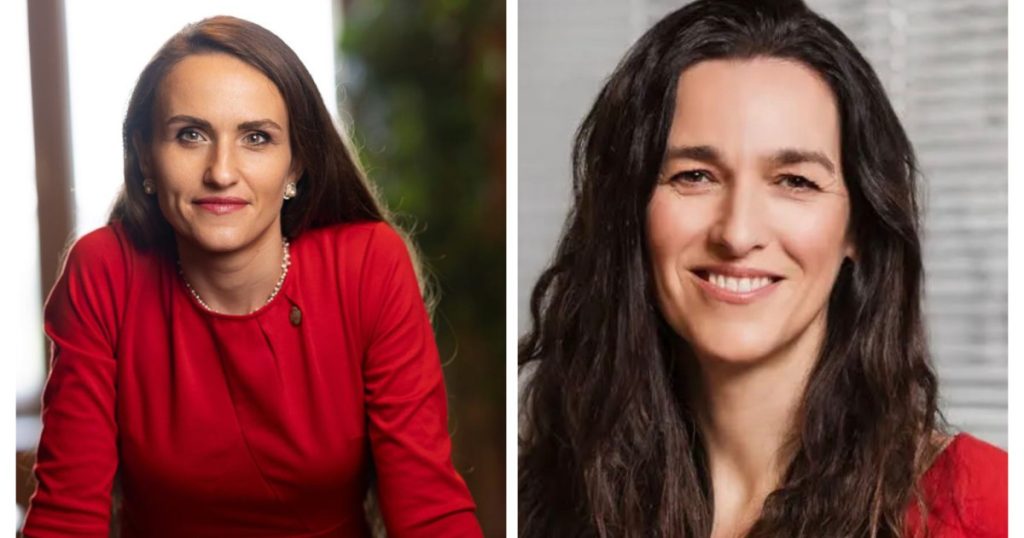 Oana Țoiu, dialog cu viitorul ministru de Externe maghiar: Schimbare de abordare