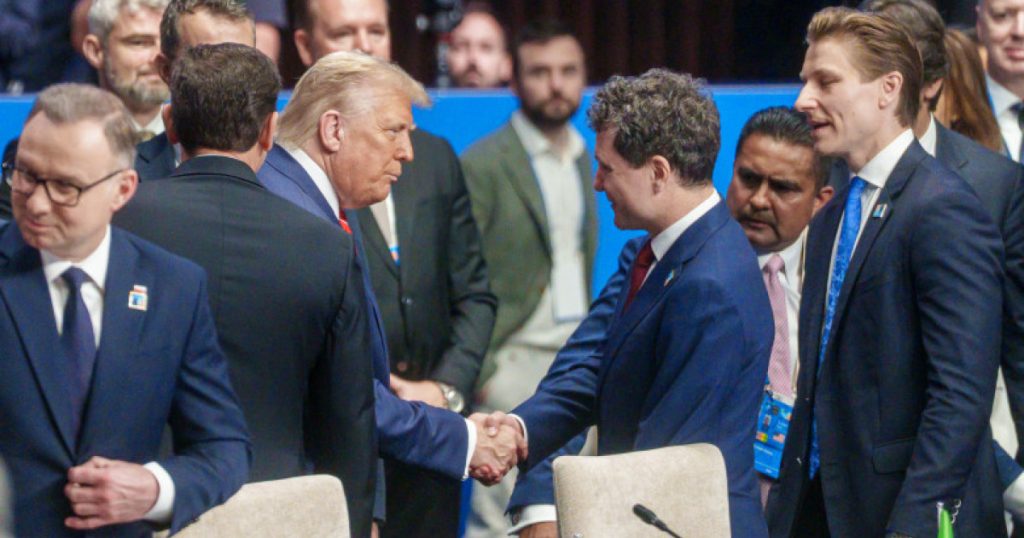 Președintele Dan ezită la vizita în SUA, dar vorbește de parteneriatul cu americanii