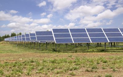 Nou investitor în România: Cea mai mare afacere a sa, gata să schimbe tot