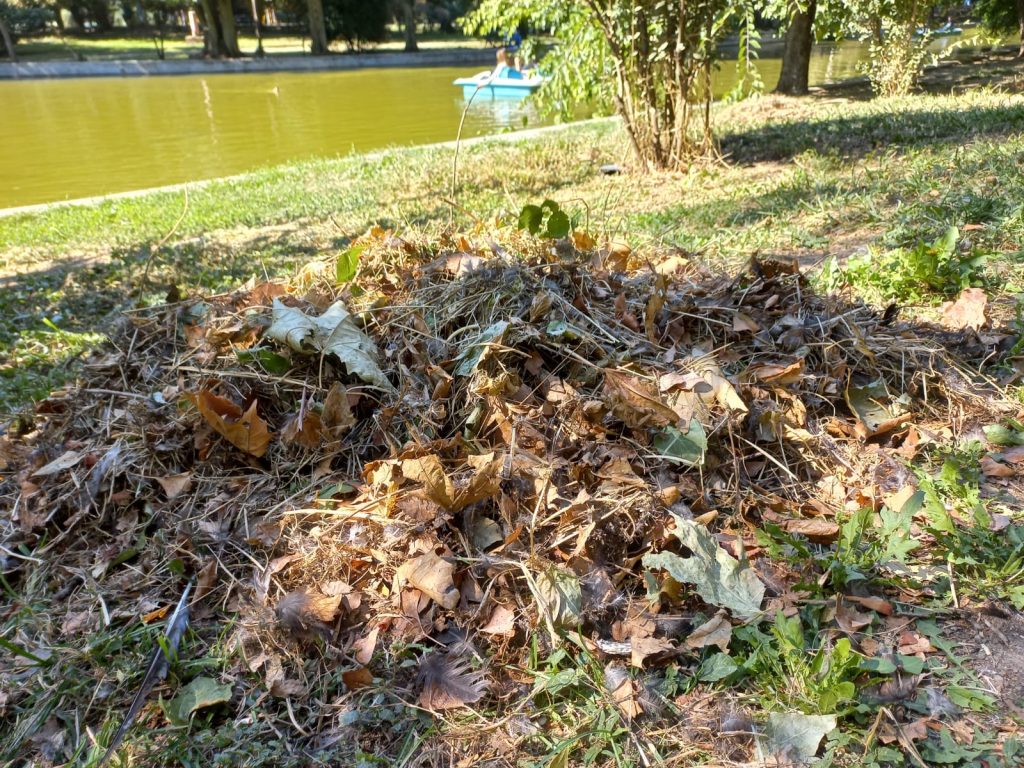 O clinică stomatologică amendată cu 70.000 de lei pentru aruncarea de deșeuri medicale în Parcul Cișmigiu O clinică stomatologică din capitală a fost amendată cu suma de 70.000 de lei de către polițiștii locali, după ce a fost prinsă aruncând deșeuri medicale în Parcul Cișmigiu