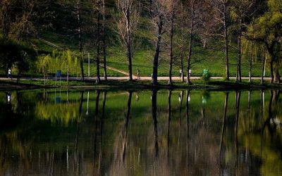 Parcul Tineretului: Grădina de ploaie, o premieră pentru București