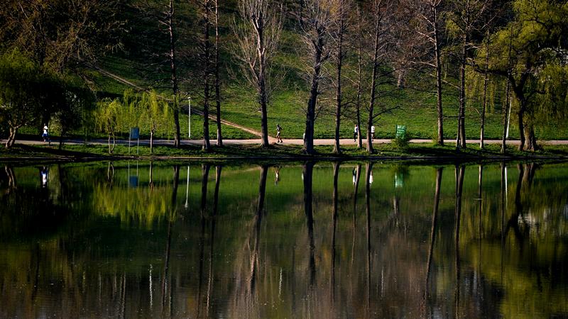 Parcul Tineretului: Grădina de ploaie, o premieră pentru București