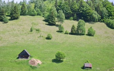 Vremea extremă lovește România: Prognoza pe două săptămâni, regiune cu regiune