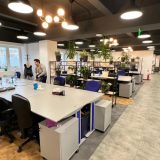 Pentalog România, în picaj liber: Scădere record de angajați și afaceri în declin