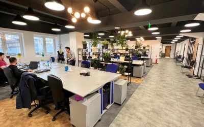 Pentalog România, în picaj liber: Scădere record de angajați și afaceri în declin