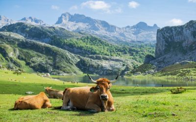 Locul din Europa, mai frumos decât în povești! Unde nu ai fi crezut vreodată