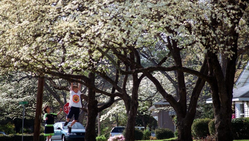 Prognoza meteo de paște în Fayetteville: Ce ne așteaptă de sărbători