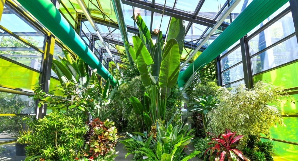 Program special de Paște la Serele Exotice din Parcul Drumul Taberei