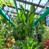 Program special de Paște la Serele Exotice din Parcul Drumul Taberei