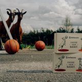 Sofascore, deliciu de brânză „GOAT” pentru cel mai aprins DEZBATERE baschetbalistică