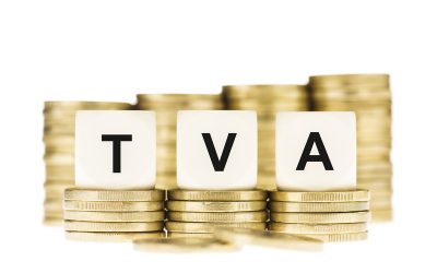 Amnistie fiscală pentru micii antreprenori: Ce schimbări cere avocata în parlament