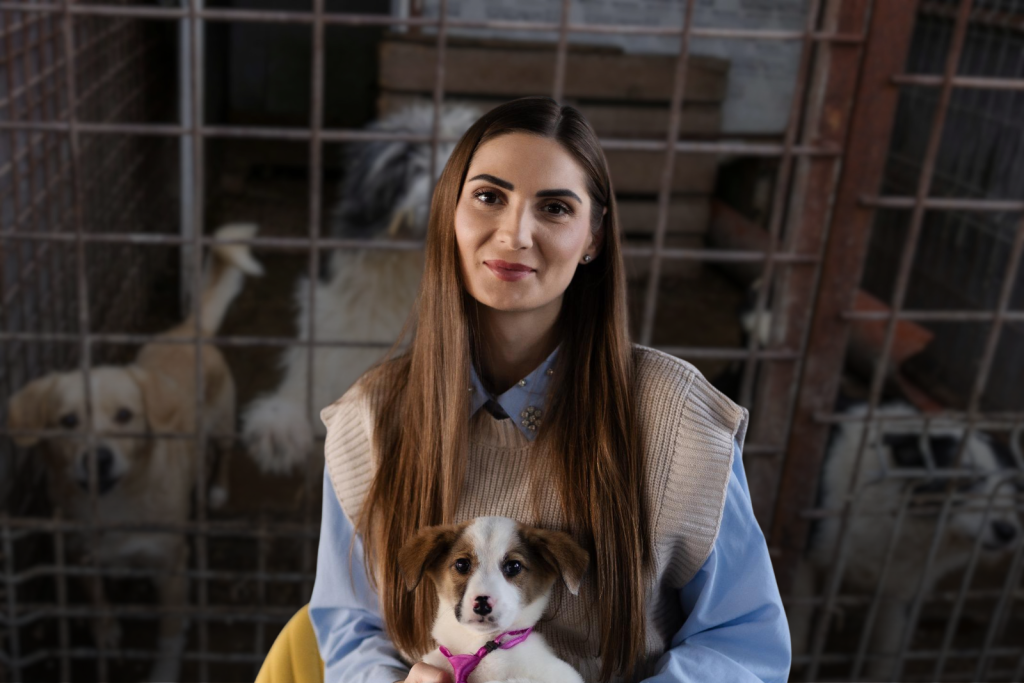 Scandalul „abatoarelor de câini”, dezvăluit de Buletin de București, a scos la iveală un sistem corupt de gestionare a câinilor fără stăpân, bazat pe contracte publice dubioase și lipsa de control